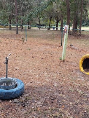 Windsor Forest Dog Park