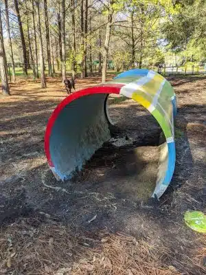 Windsor Forest Dog Park