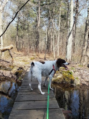 Sans Souci County Park