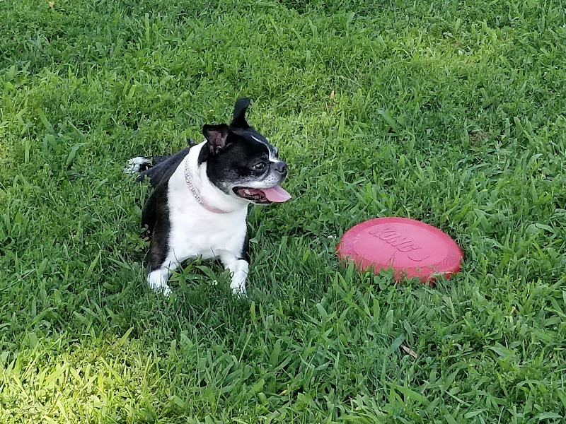 Andersen Dog Park - Schenectady, NY