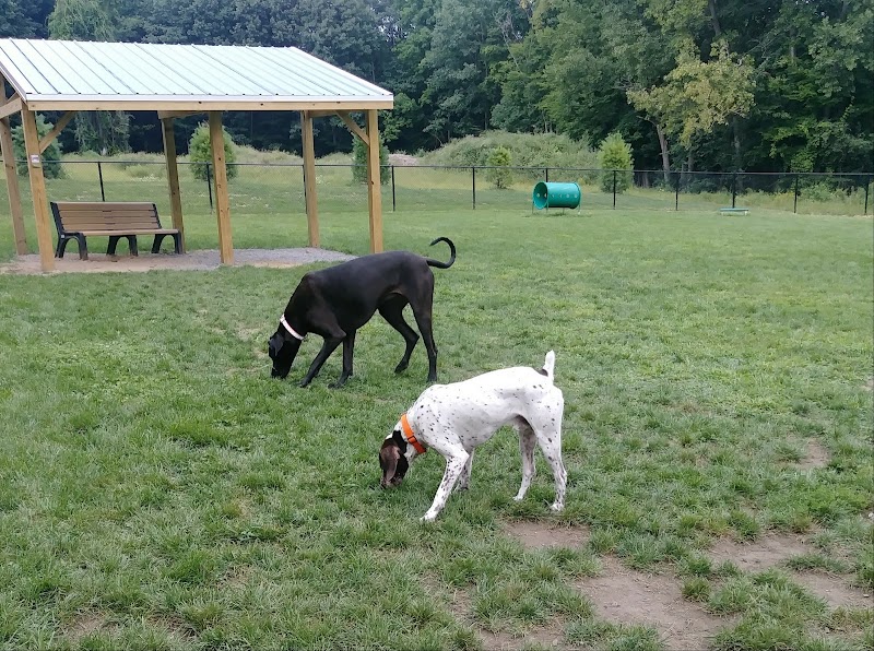 Andersen Dog Park - Schenectady, NY