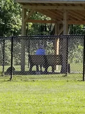 Andersen Dog Park