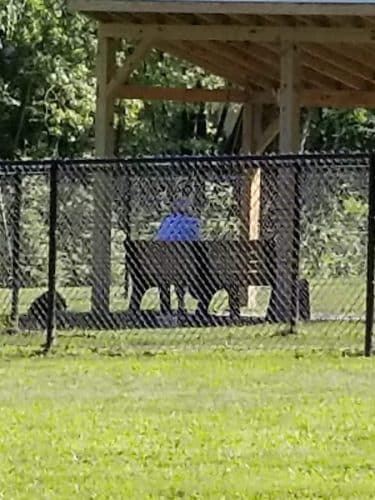 Andersen Dog Park
