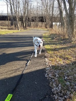 Central Perkiomen Valley Park