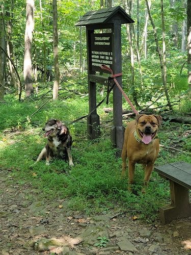 Eva R. Meng Wildlife Preserve and Bird Sanctuary