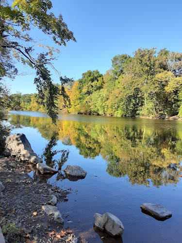 Meadow Park