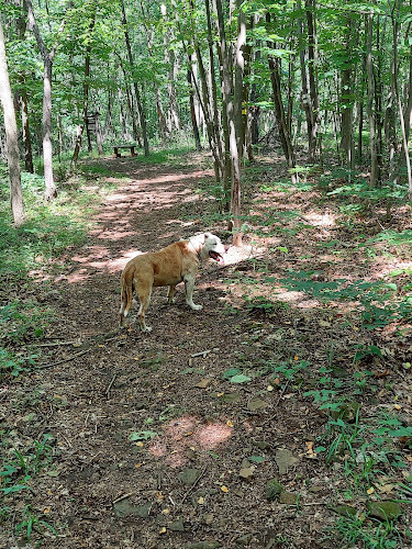Natural Lands' Meng Preserve
