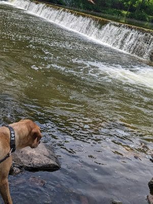 Wawa Park