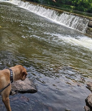 Wawa Park