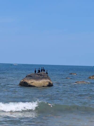 Conservation Park - Scituate, MA