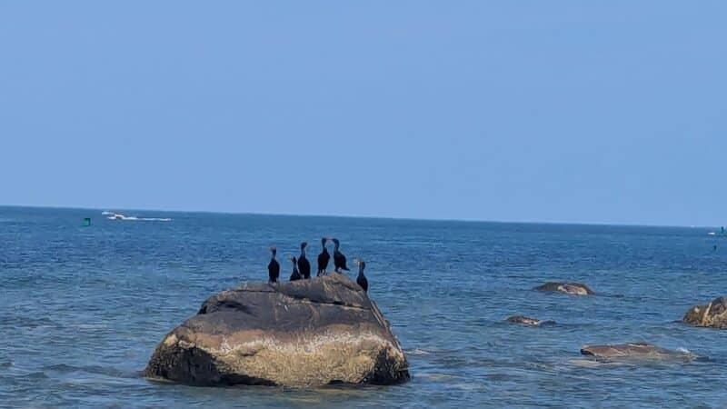 Conservation Park - Scituate, MA