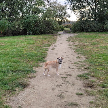 Conservation Park