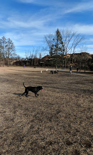 Scituate Dog Park