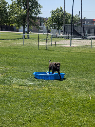 Terry Carpenter Dog Park