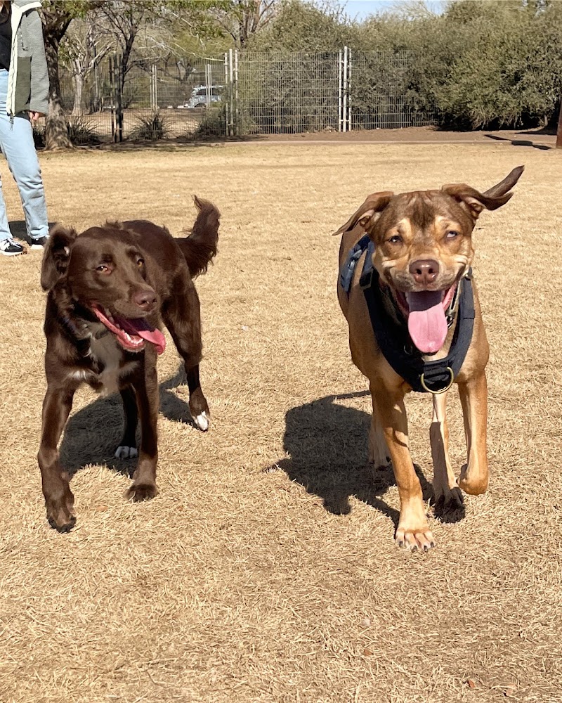 Chaparral Dog Park - Scottsdale, AZ