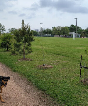 Friendship Park