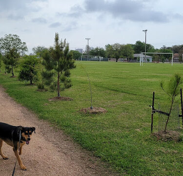 Friendship Park