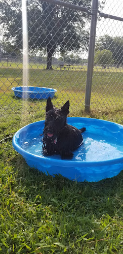 Searcy Dog Park