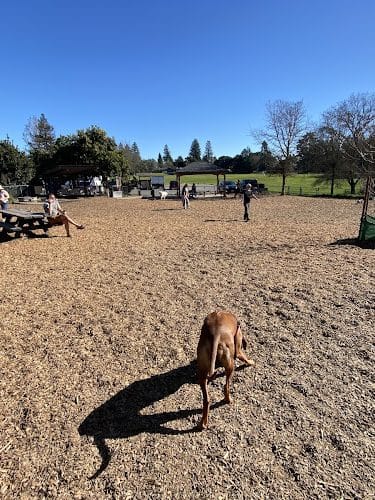 Ragle Ranch Dog Park