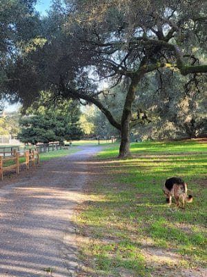 Ragle Ranch Park