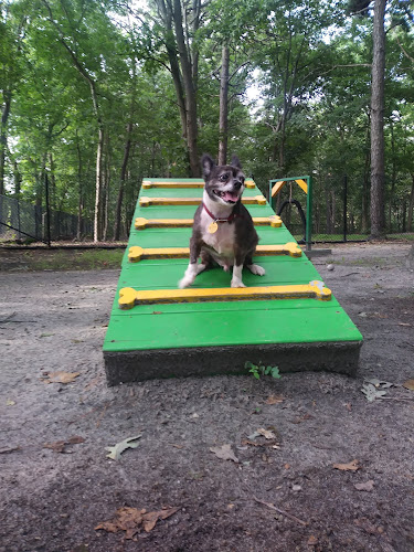 Selden Dog Park