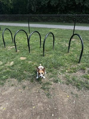 Sellersburg Dog Park
