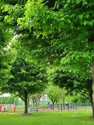 Sellersburg Dog Park