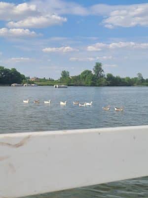 Prairie Creek Park
