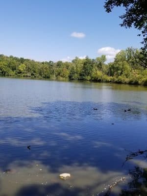 Red-tail Nature Preserve