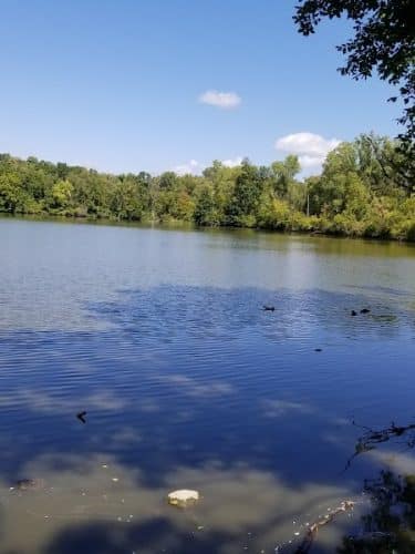 Red-tail Nature Preserve