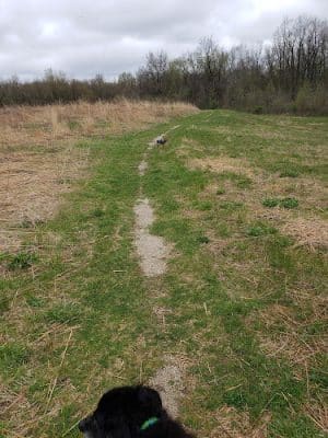 Red-tail Nature Preserve