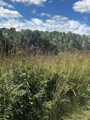 Red-tail Nature Preserve