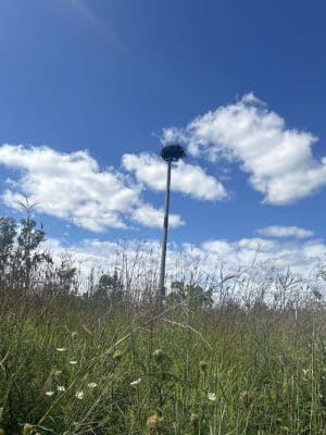 Red-tail Nature Preserve