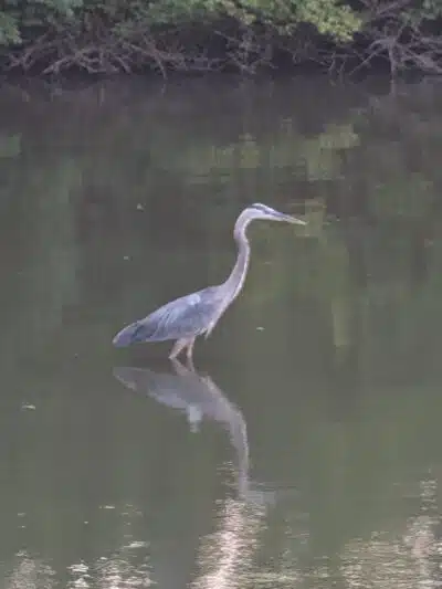 Prairie Creek Park - Selma, IN