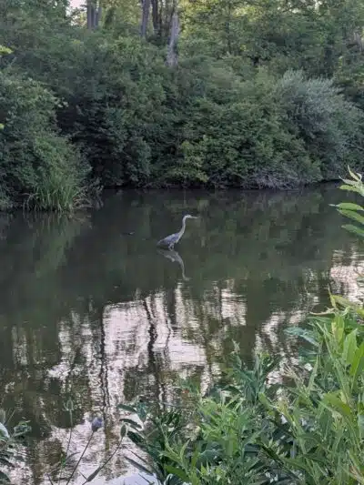 Prairie Creek Park - Selma, IN