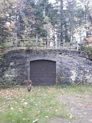 East Branch of the Fox River State Forest Campground