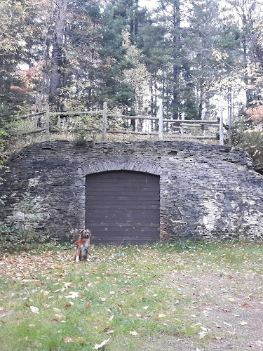 East Branch of the Fox River State Forest Campground