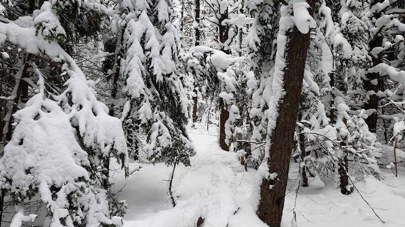Sable Falls - Seney,
