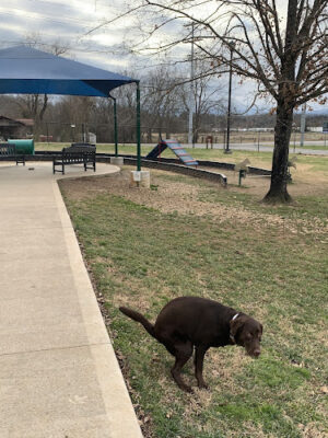 Sevierville Dog Park
