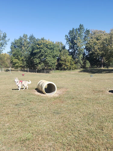 Seward Community Dog Park