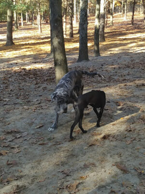 Washington Lake Park. 626 Hurffville-Cross Keys Rd. Lot D. Pavillion A