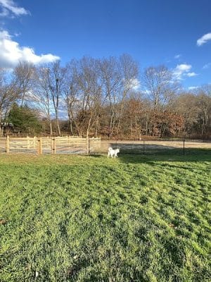 Seymour Dog Park Seymour, CT