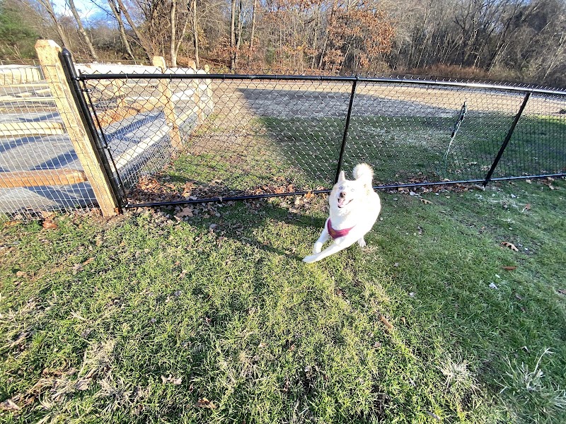 Seymour Dog Park Seymour, CT - Seymour, CT
