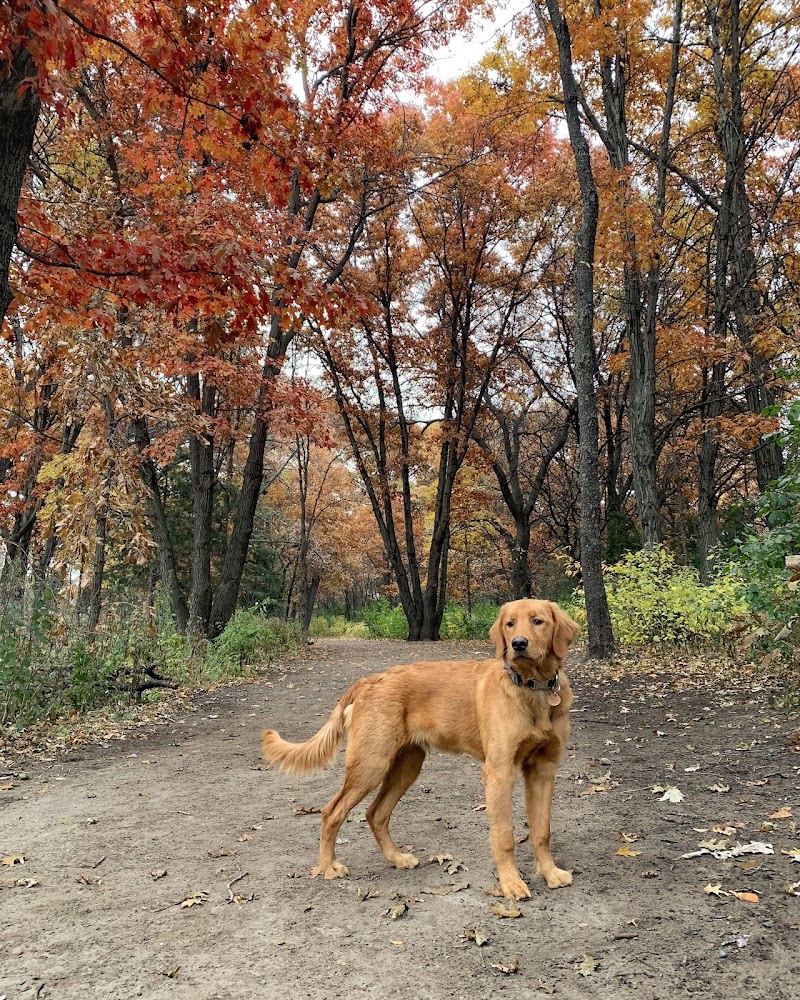 Southbridge Community Dog Park - Shakopee, MN