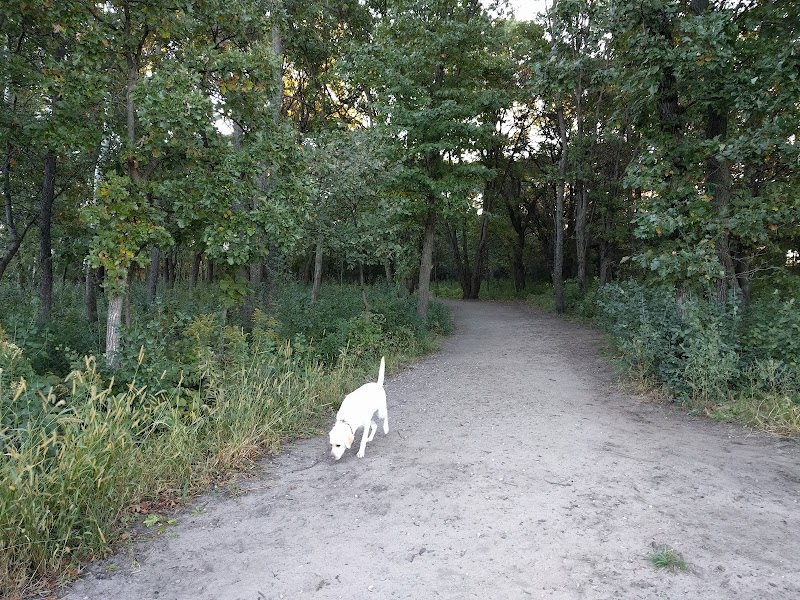 Southbridge Community Dog Park - Shakopee, MN