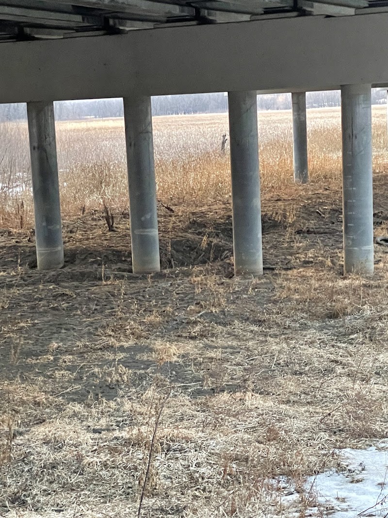 Southbridge Community Dog Park - Shakopee, MN