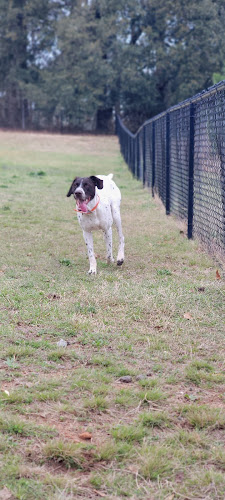 Dog park