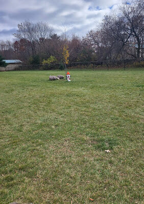 Shawano Dog Park