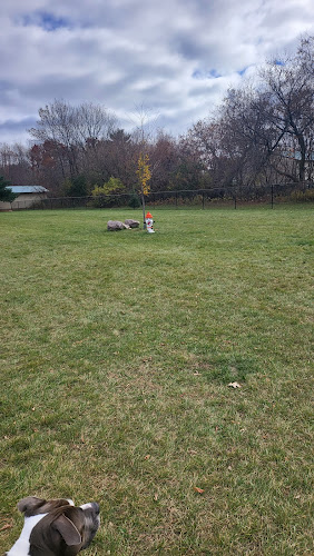 Shawano Dog Park