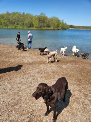 Shawnee Mission Park Dog Off-Leash Area